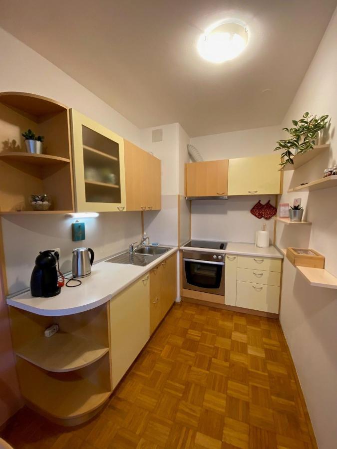 Apartma Felicija Λιουμπλιάνα Εξωτερικό φωτογραφία