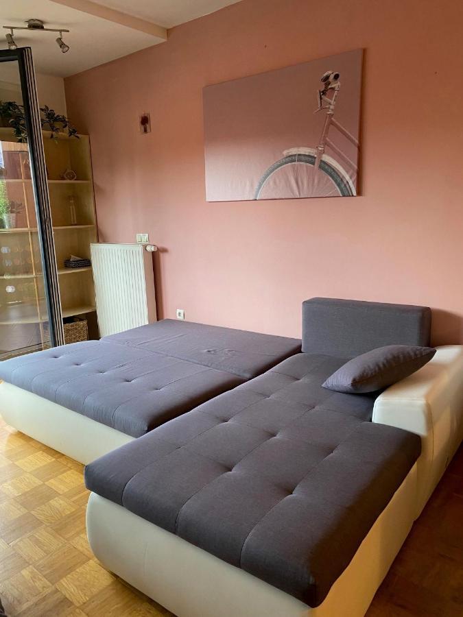 Apartma Felicija Λιουμπλιάνα Εξωτερικό φωτογραφία